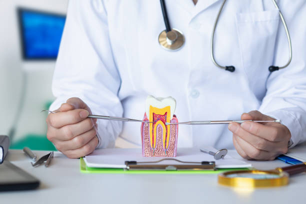 Best Urgent Care for Lost Fillings or Crowns in Monroe, NC